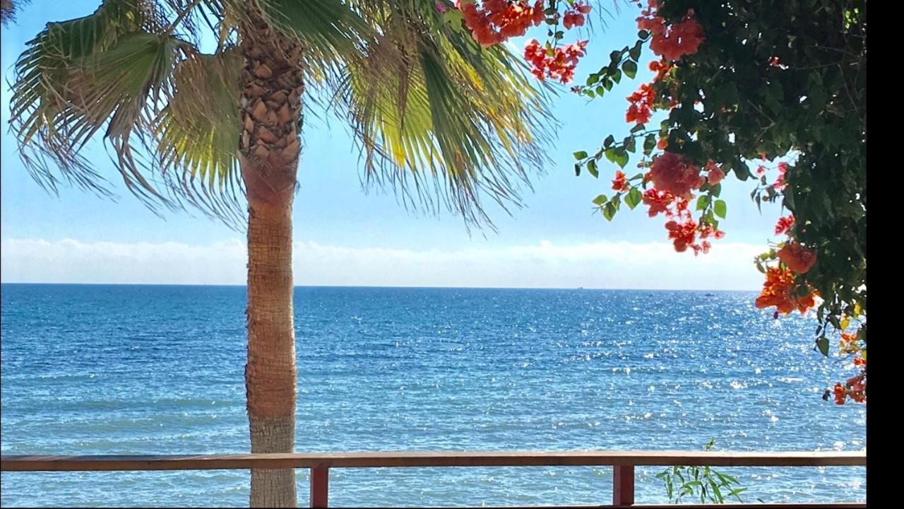 Mi Capricho Beachfront- 3-7 Apartment With Sea Views Ситио-де-Калаонда Экстерьер фото